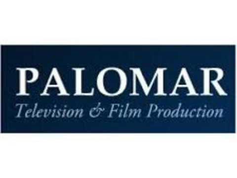 servizi di traduzioni audiovisive di sceneggiature per la Palomar